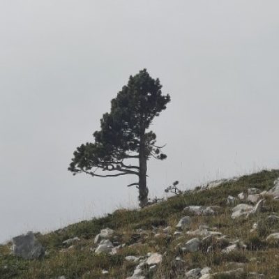 Illustration du profil de Adrien