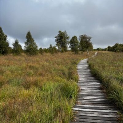 Logo de l'Expé A travers les hautes fagnes