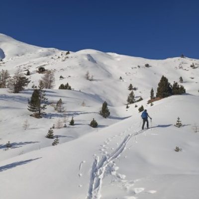 Logo de l'Expé Nouvel an au pied du Pelvoux