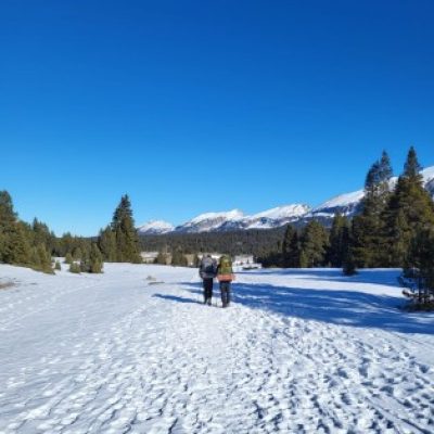 Logo de l'Expé Traversée des Hauts-Plateaux du Vercors