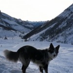 Logo de l'Expé Lio & Max