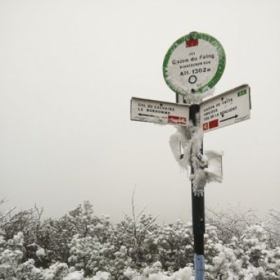 Logo de l'Expé Survie dans la neige des Vosges